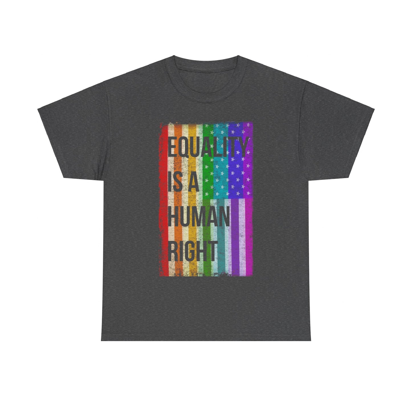 Equality Is A Human Right LGBT Unisex Graphic T-Shirt, Sizes S-5XL