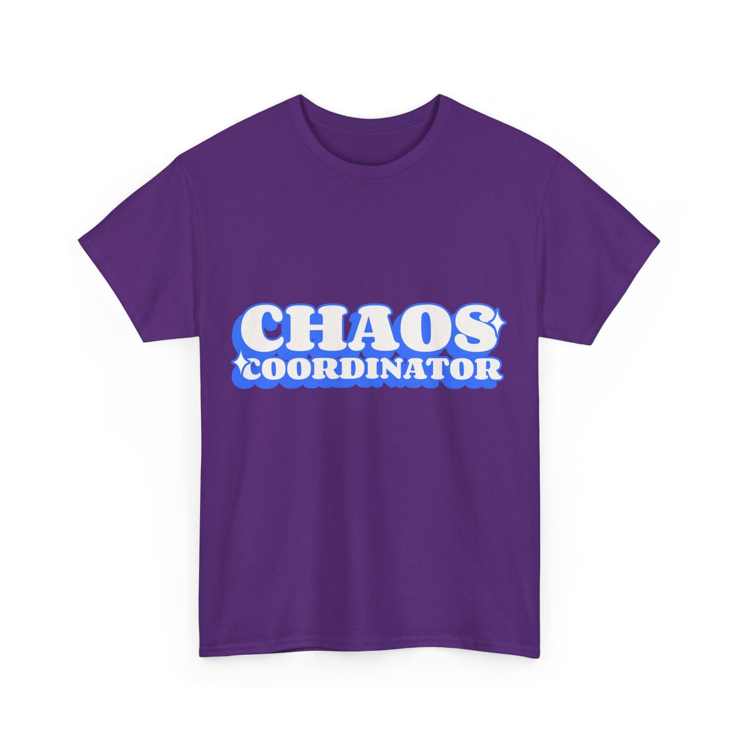 Chaos Coordinator Unisex Graphic T-Shirt, Sizes S-5XL