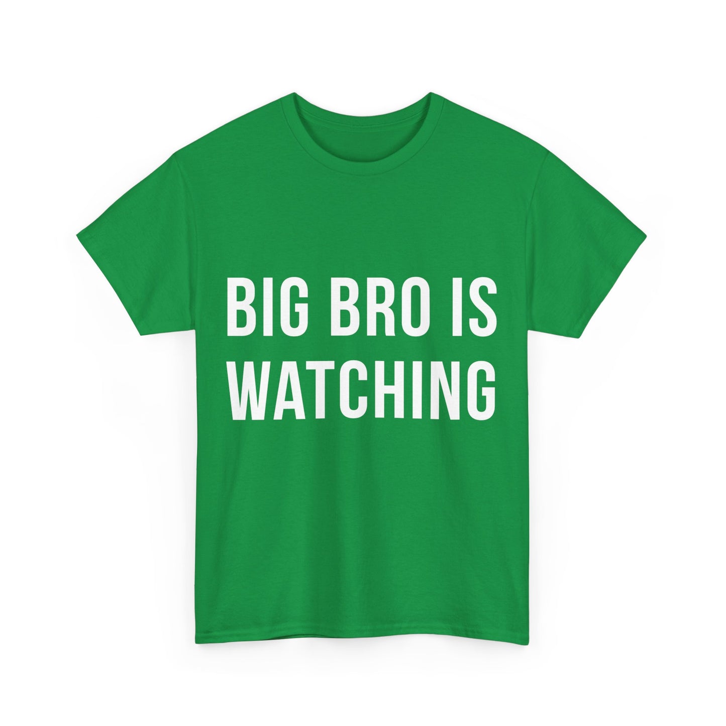 Big Bro Is Watching Unisex Graphic T-Shirt, Sizes S-5XL