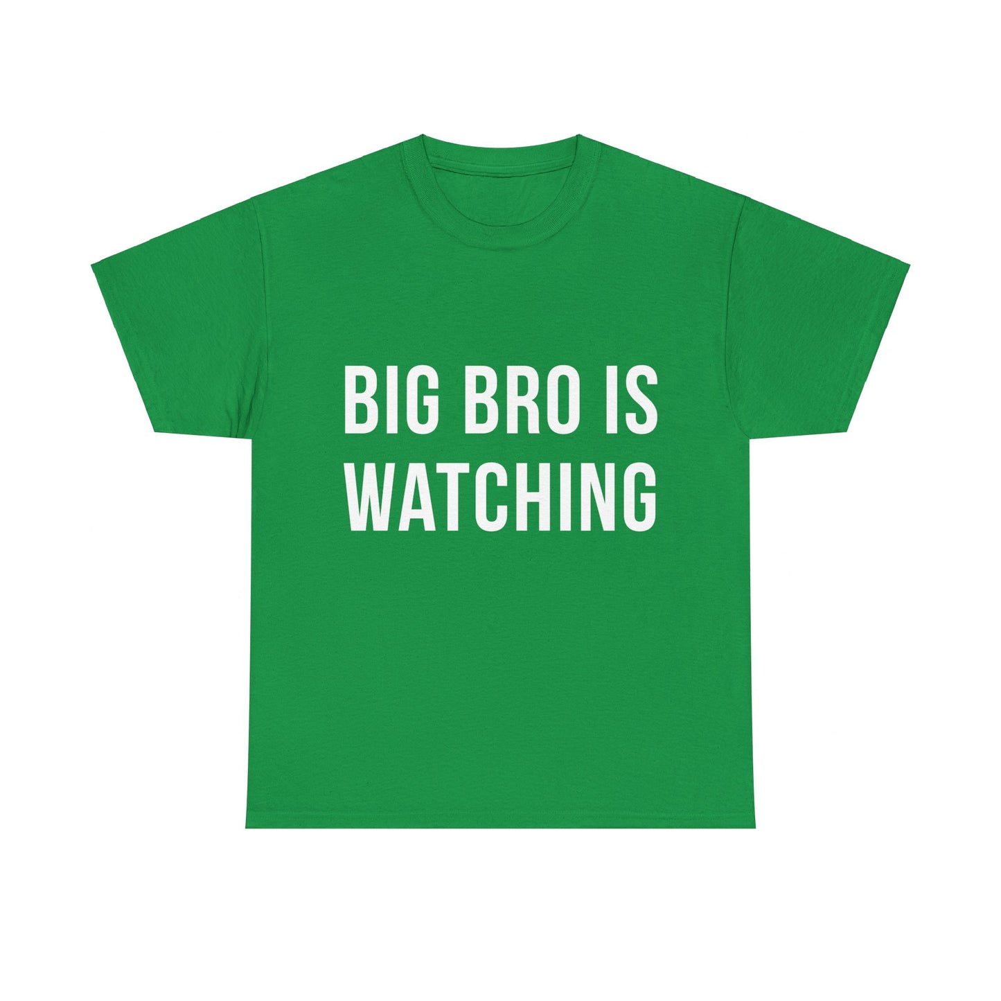 Big Bro Is Watching Unisex Graphic T-Shirt, Sizes S-5XL