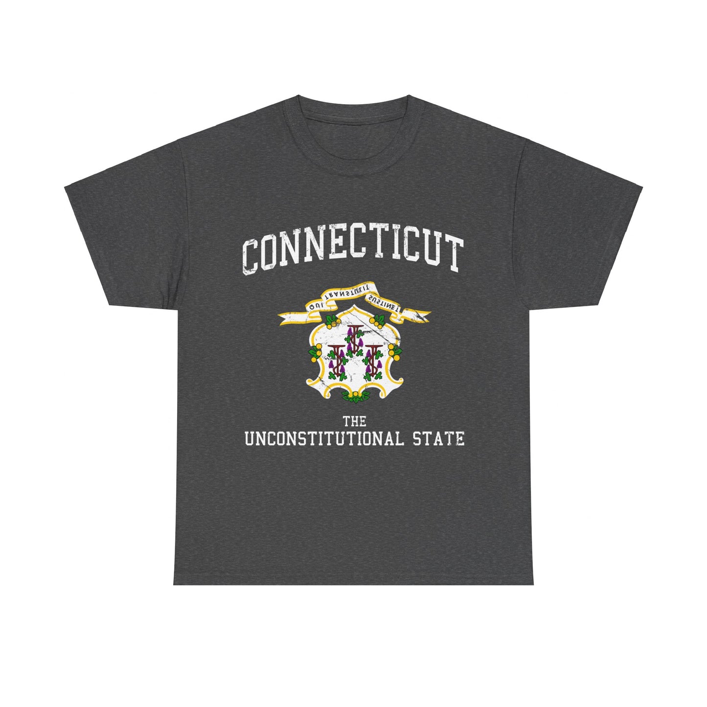 Connecticut The Unconstitutional State Unisex Graphic T-Shirt, Sizes S-5XL