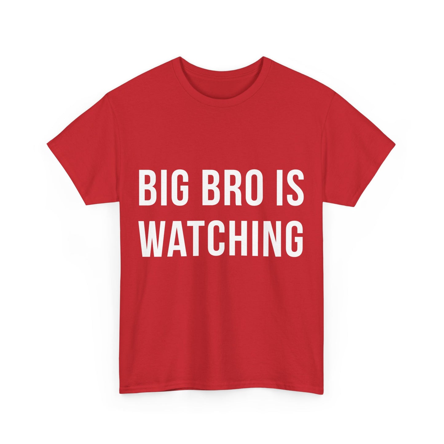 Big Bro Is Watching Unisex Graphic T-Shirt, Sizes S-5XL