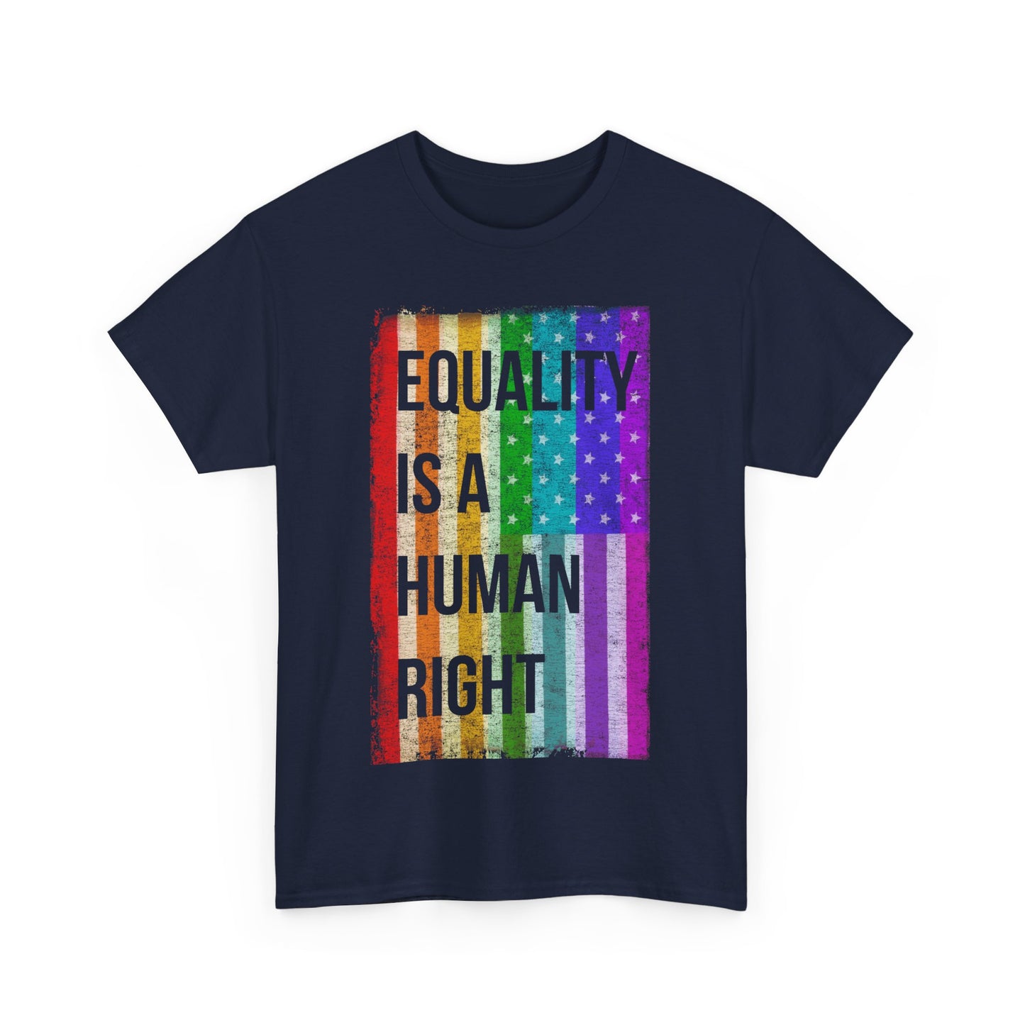 Equality Is A Human Right LGBT Unisex Graphic T-Shirt, Sizes S-5XL